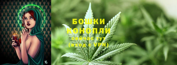 дурь Верея