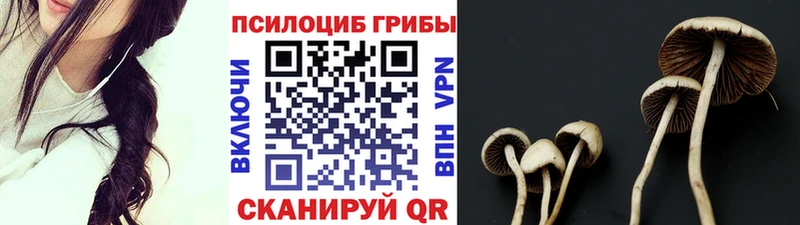 Псилоцибиновые грибы Psilocybe  хочу наркоту  Юхнов 