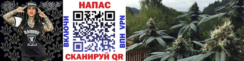 хочу наркоту  Юхнов  Канабис гибрид 